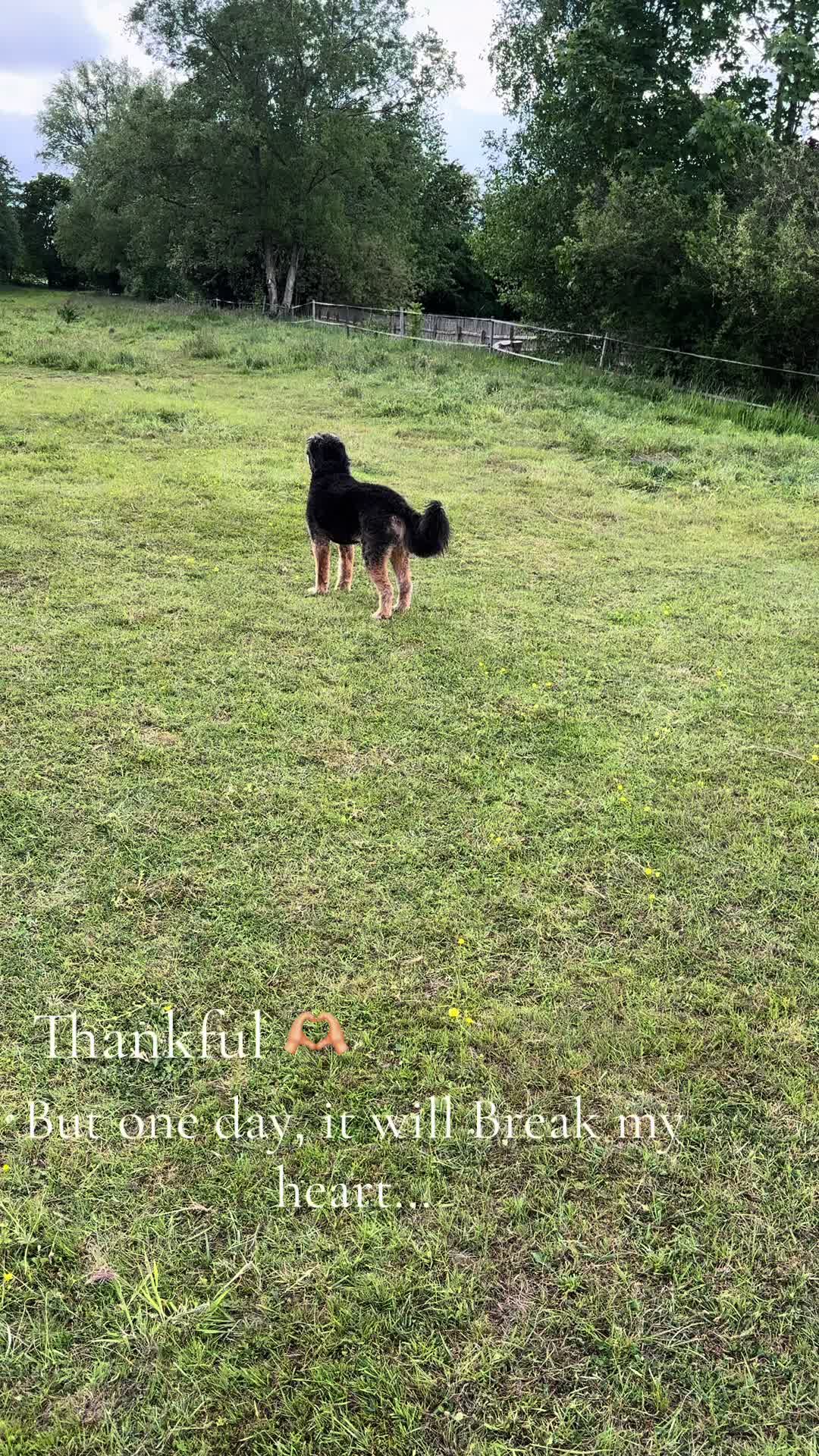 @Franzi.26_