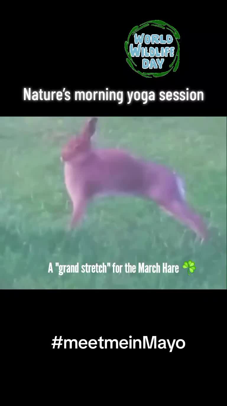 @really_great_tours