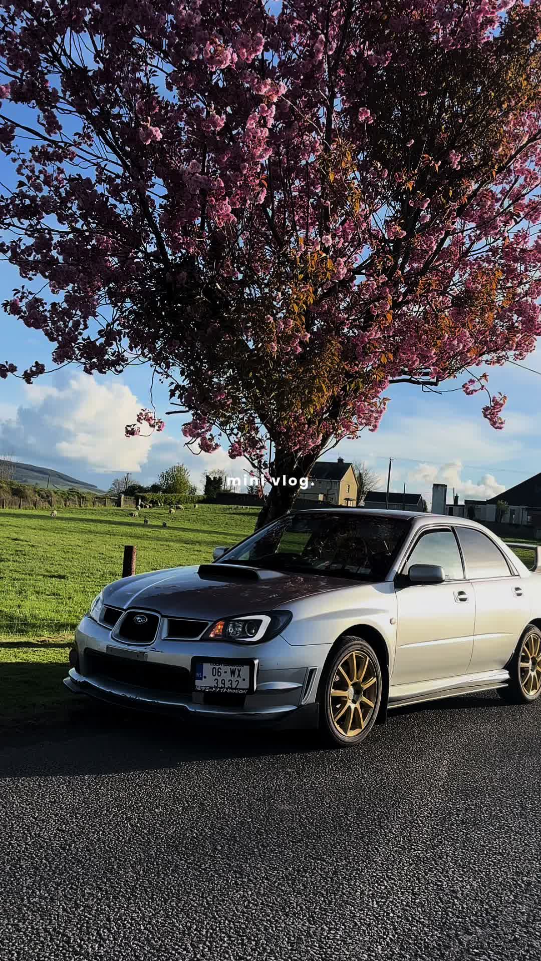 @red_hawkeye