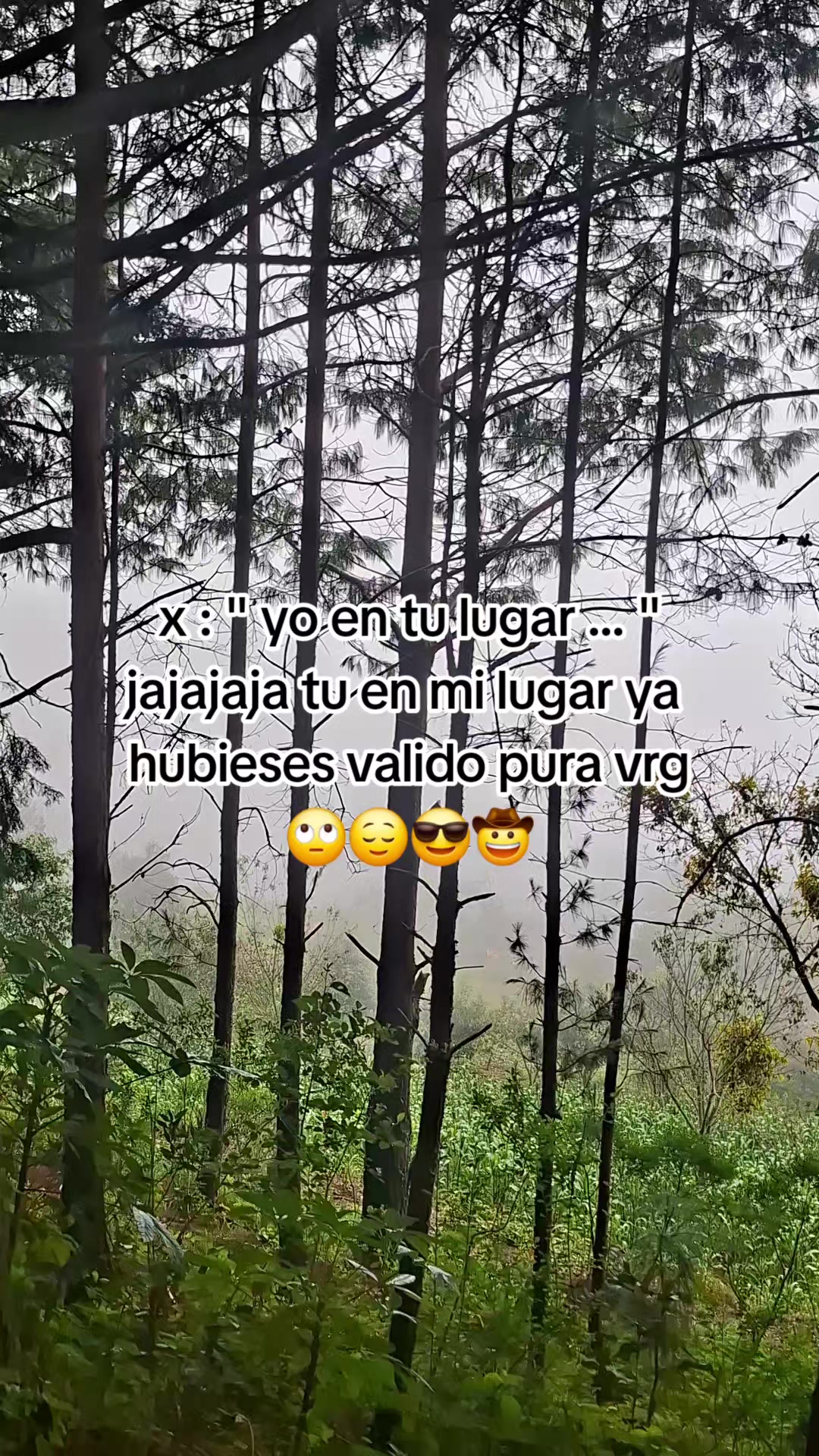 @Fer Zo