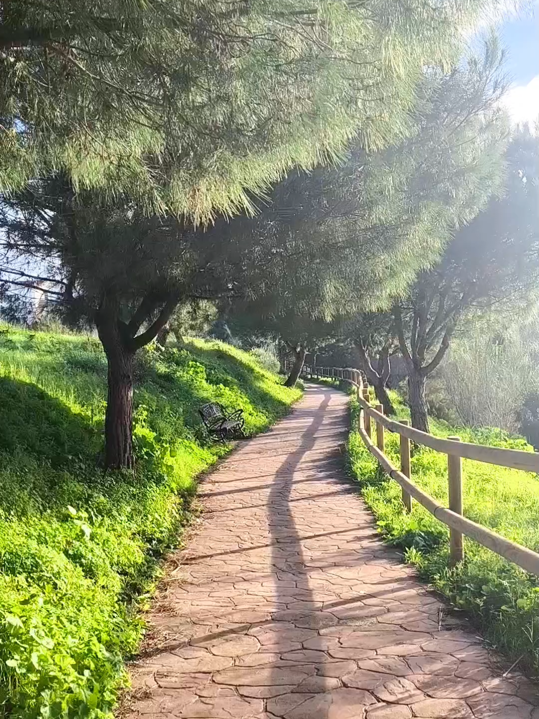 @costadelsoltrips