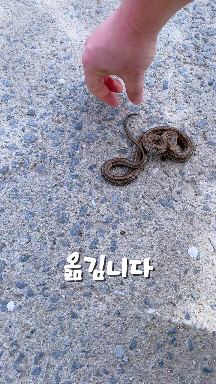@삼촌