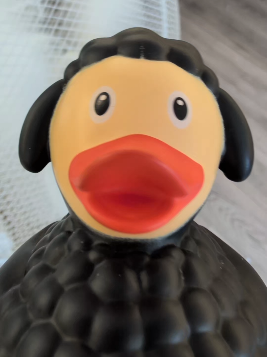 @Killarney Duck Store