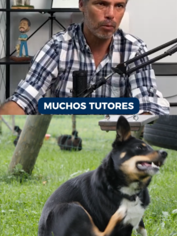@Pancho Cavero
