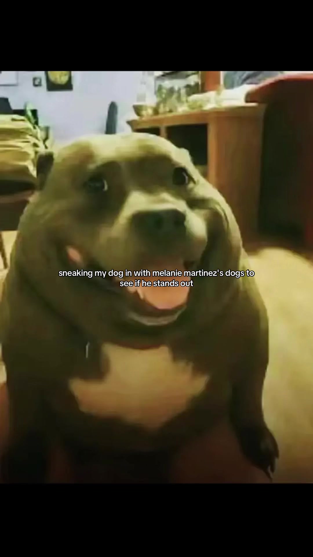 @༺m༻