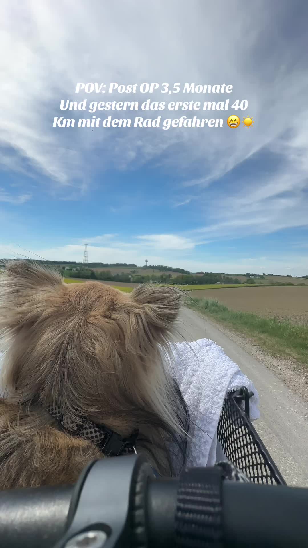@Stefanie Bauernhuber