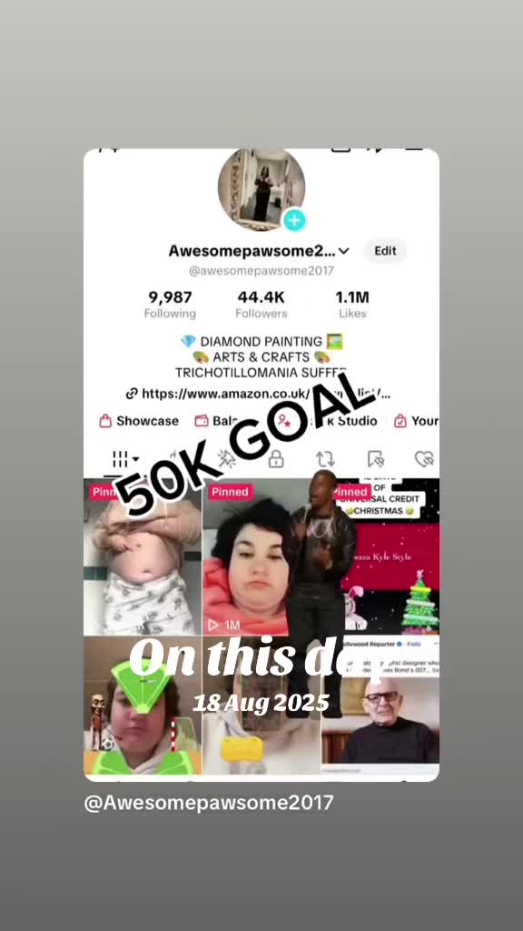 @Awesomepawsome2017