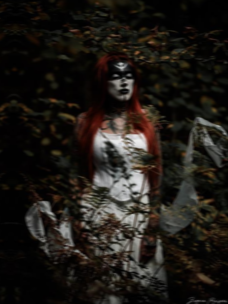 @gingerfoxymay
