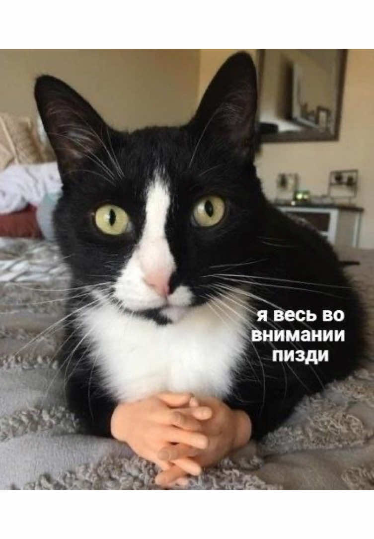 @мᴀᴘьянᴀ