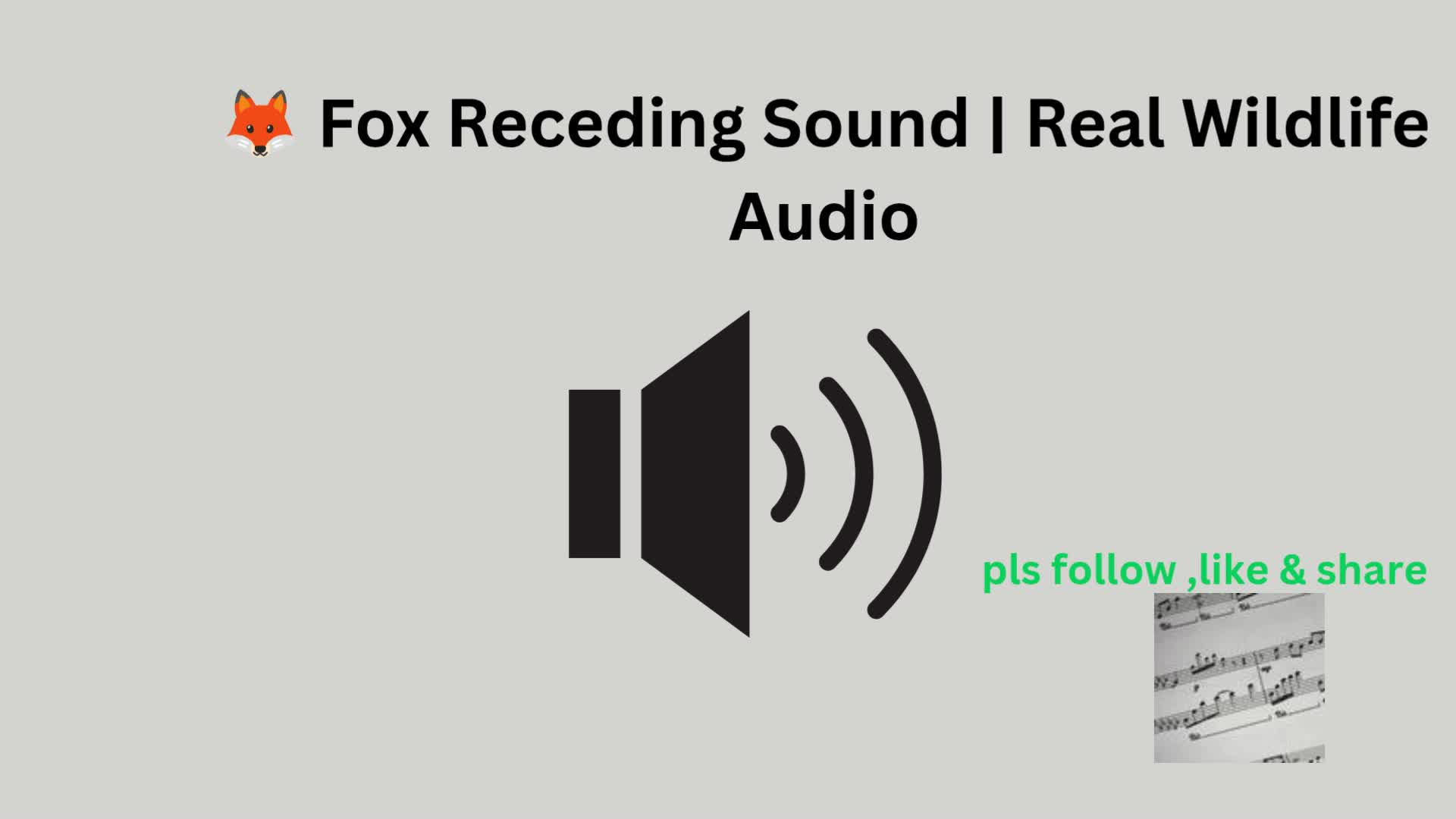 @soundeffectsforyou
