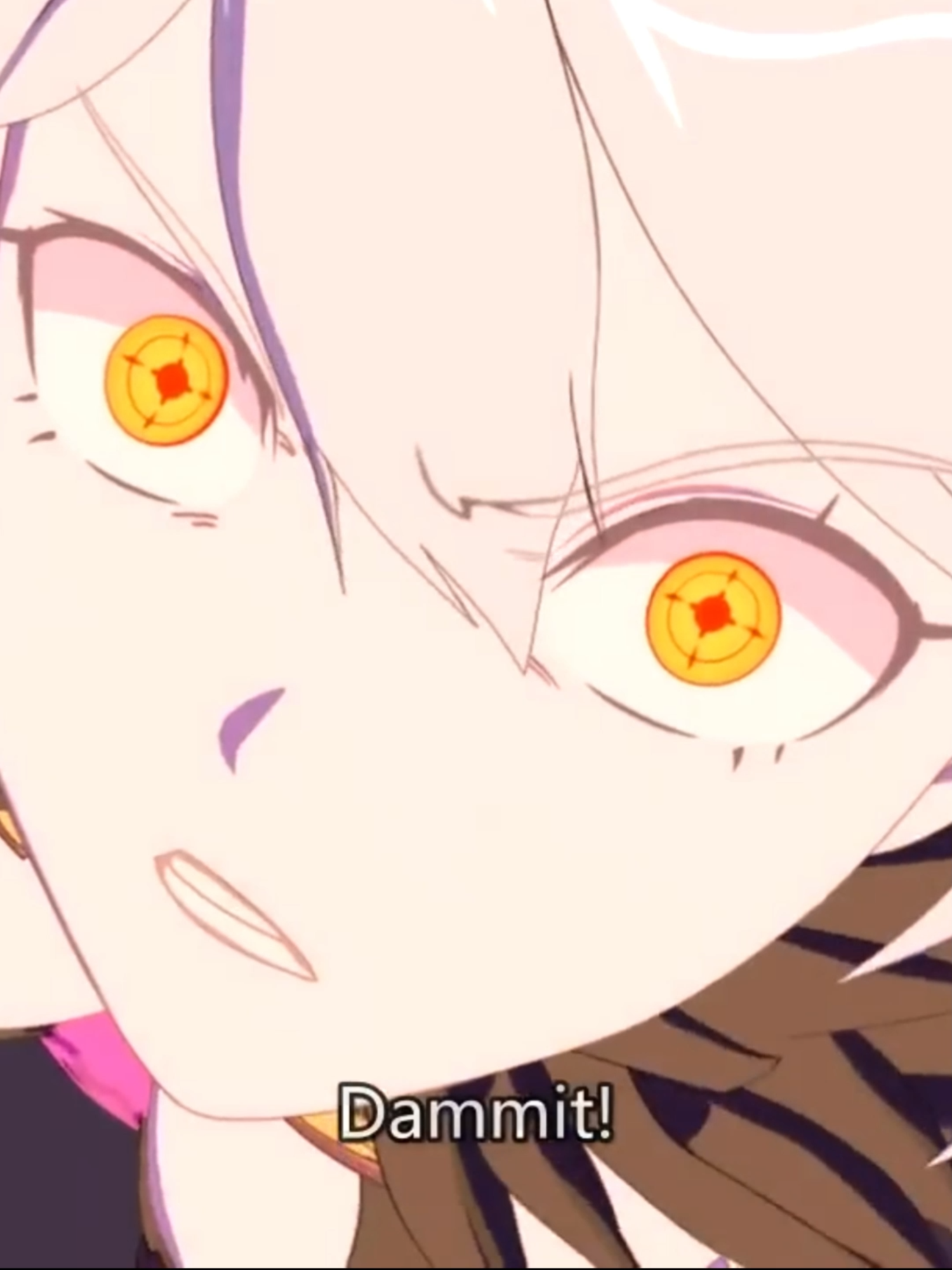 @jinsei