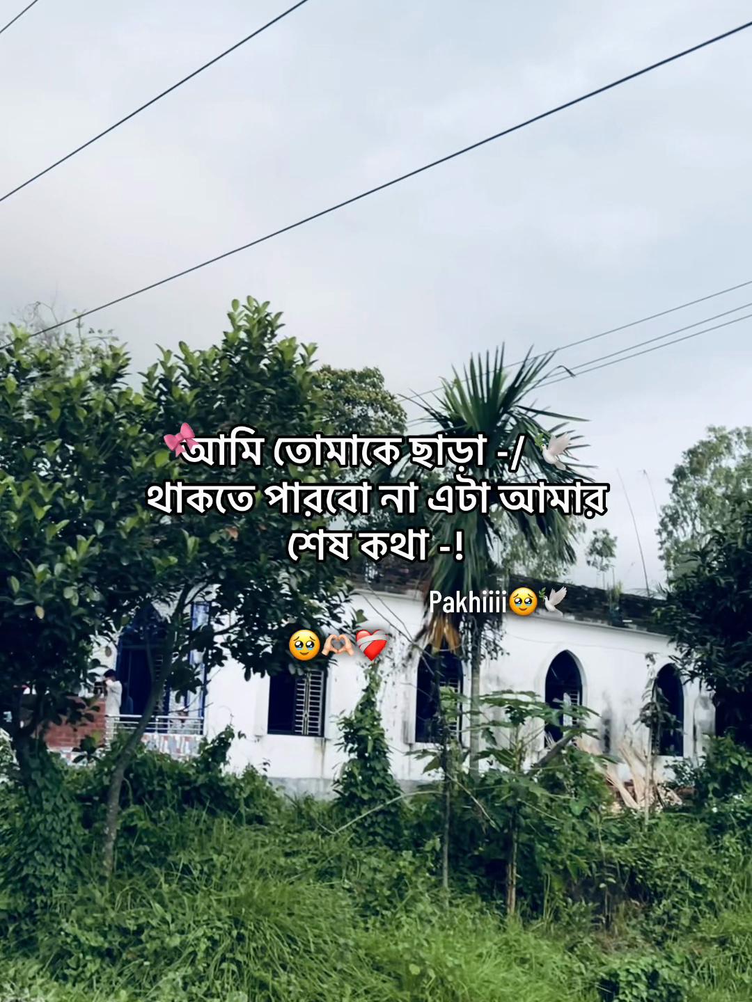 @টিক-টিকি