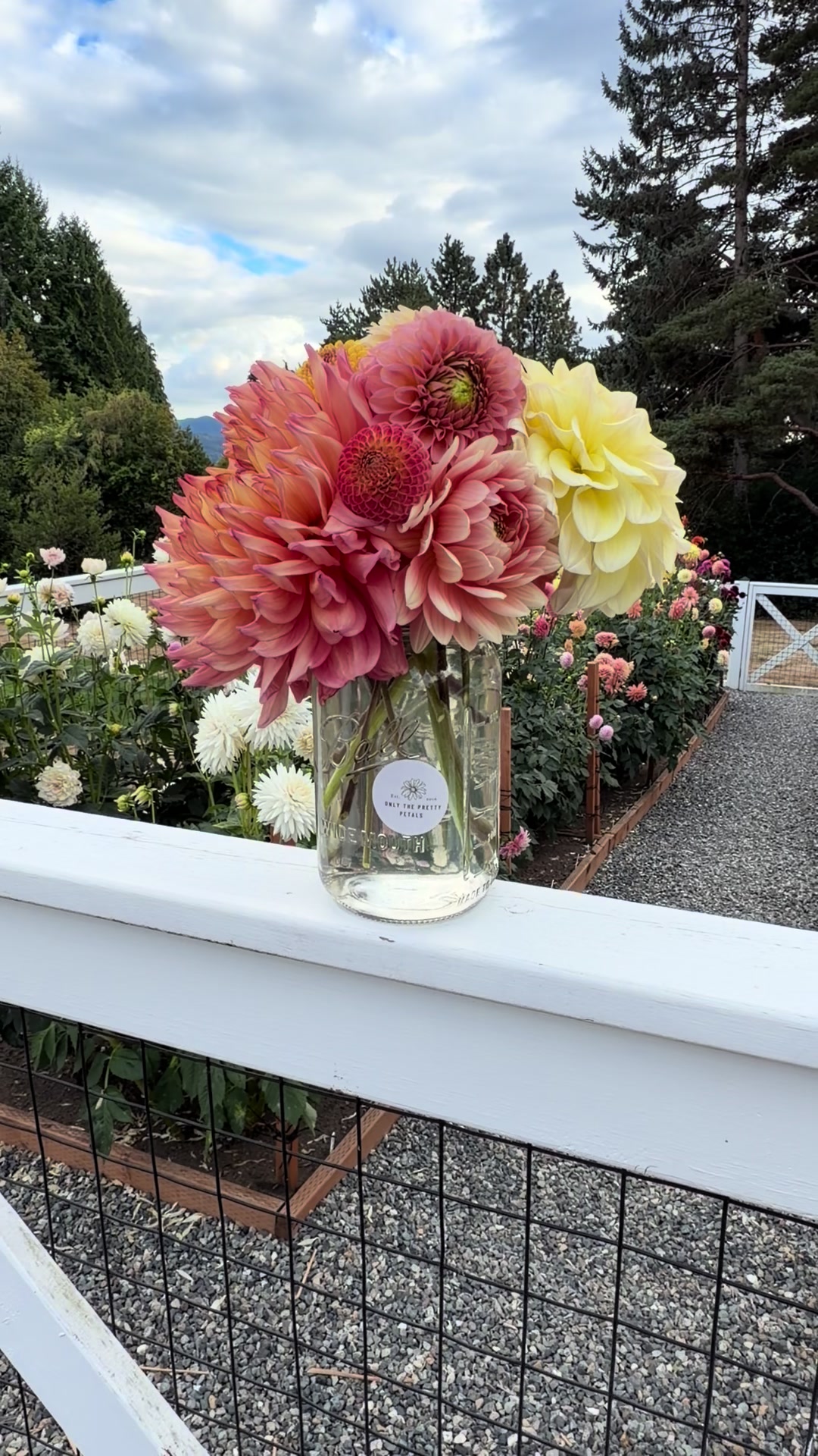 @Only The Pretty Petals