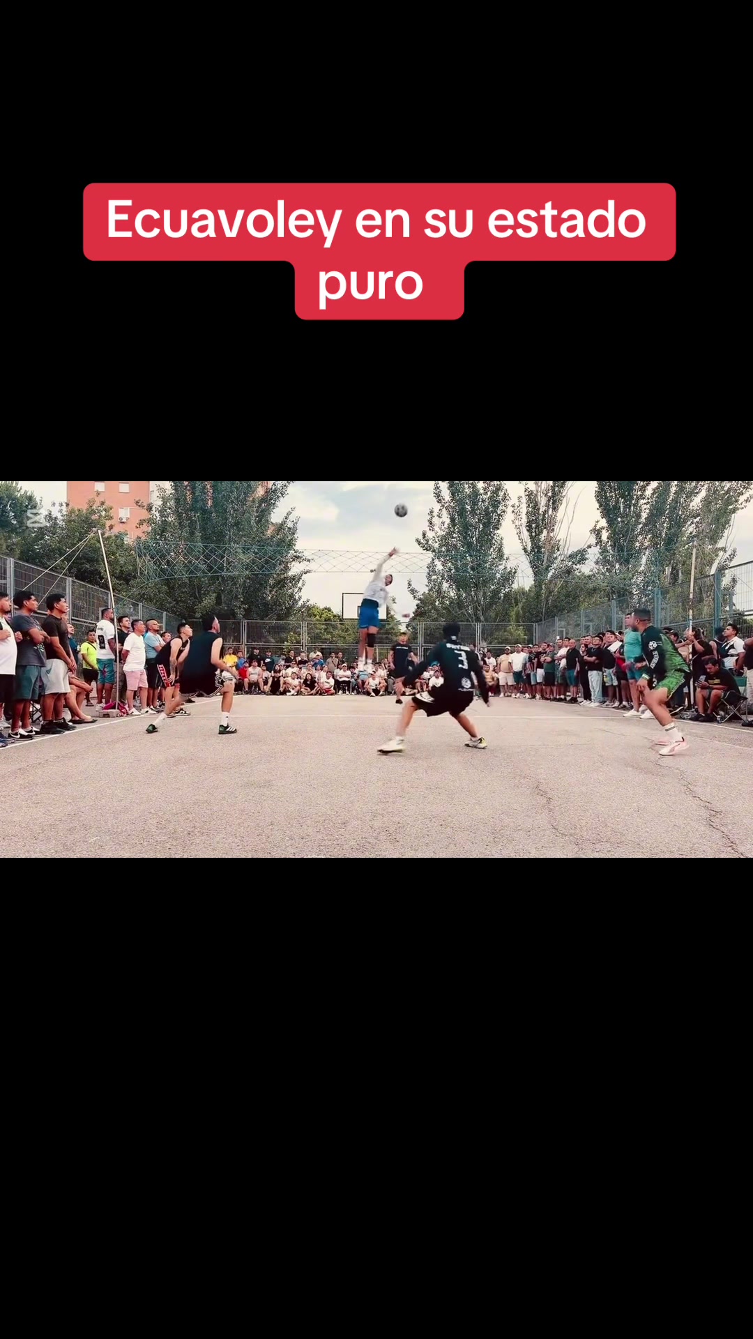 @Fran Jara