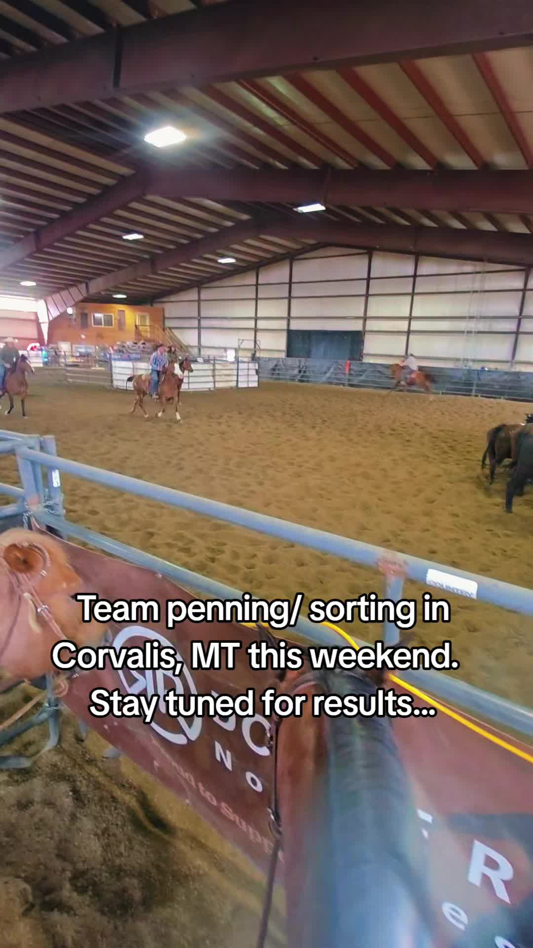 @🐴 ColdMountainRanch 🏇