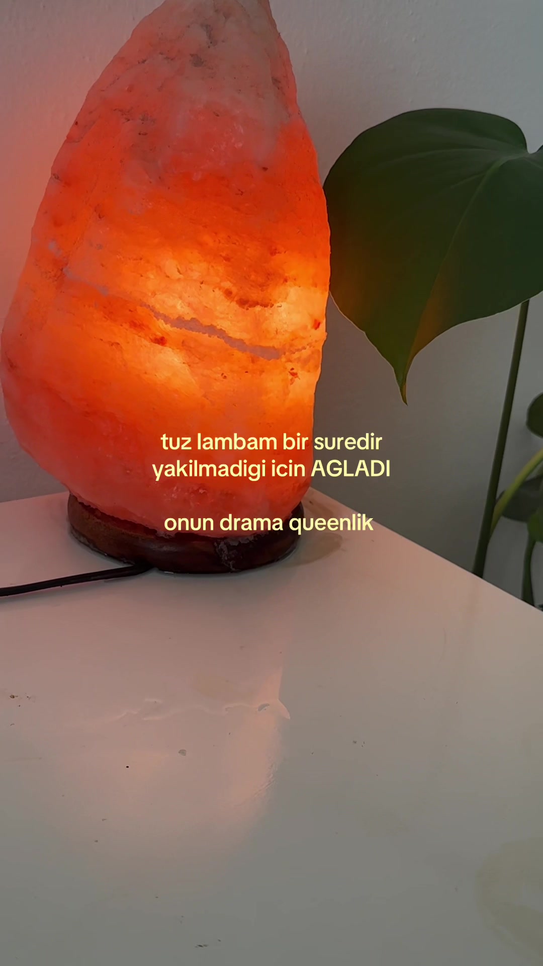 @sila⋆˙⟡