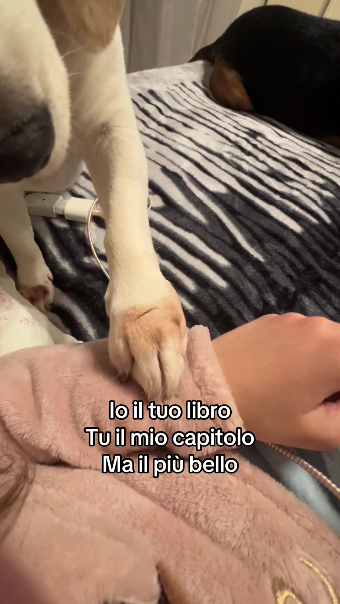 @Marisa Selvaggio