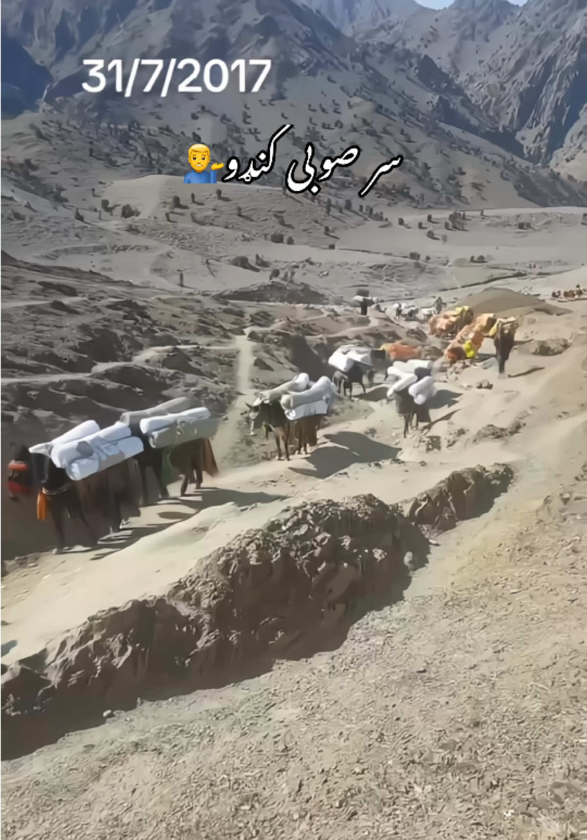 @Shinwari Graphy