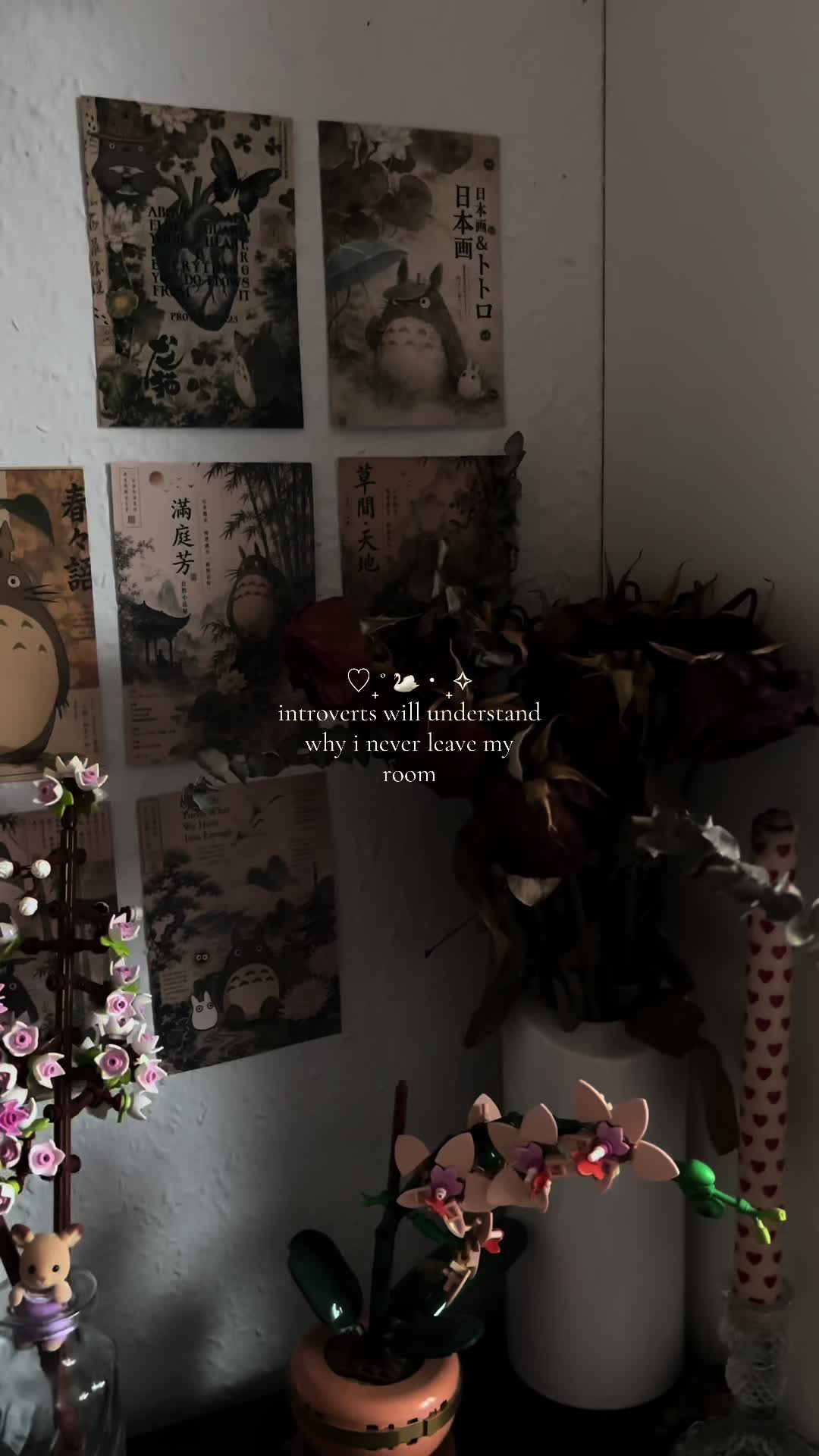 @𐙚⋆°🦢。⋆♡