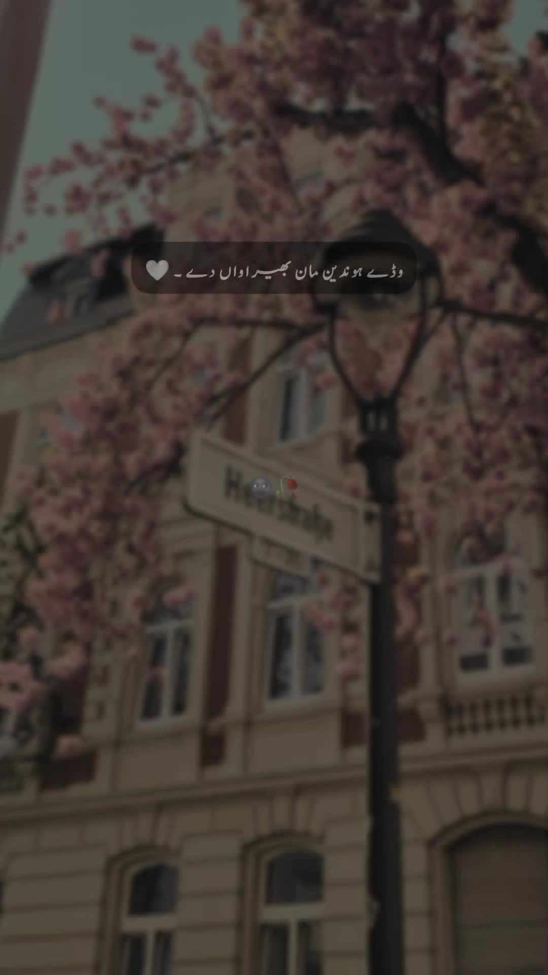 @𝐒 𝐚 𝐌 𝐢 🍂🫀