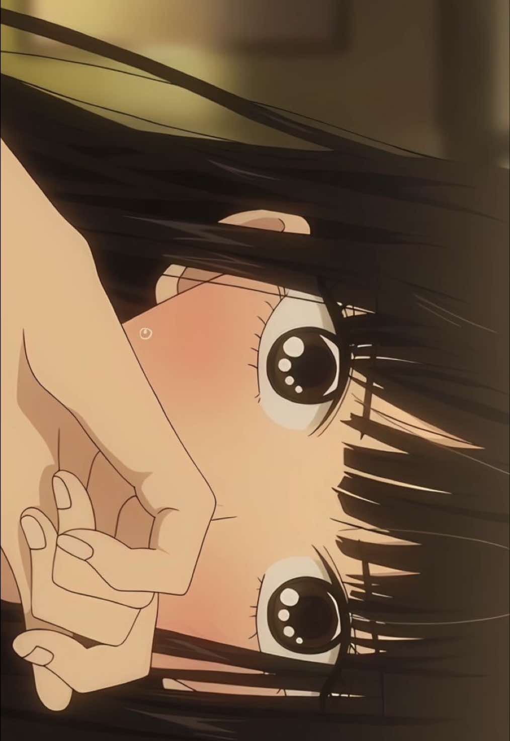 @≽^•˕• ྀི≼