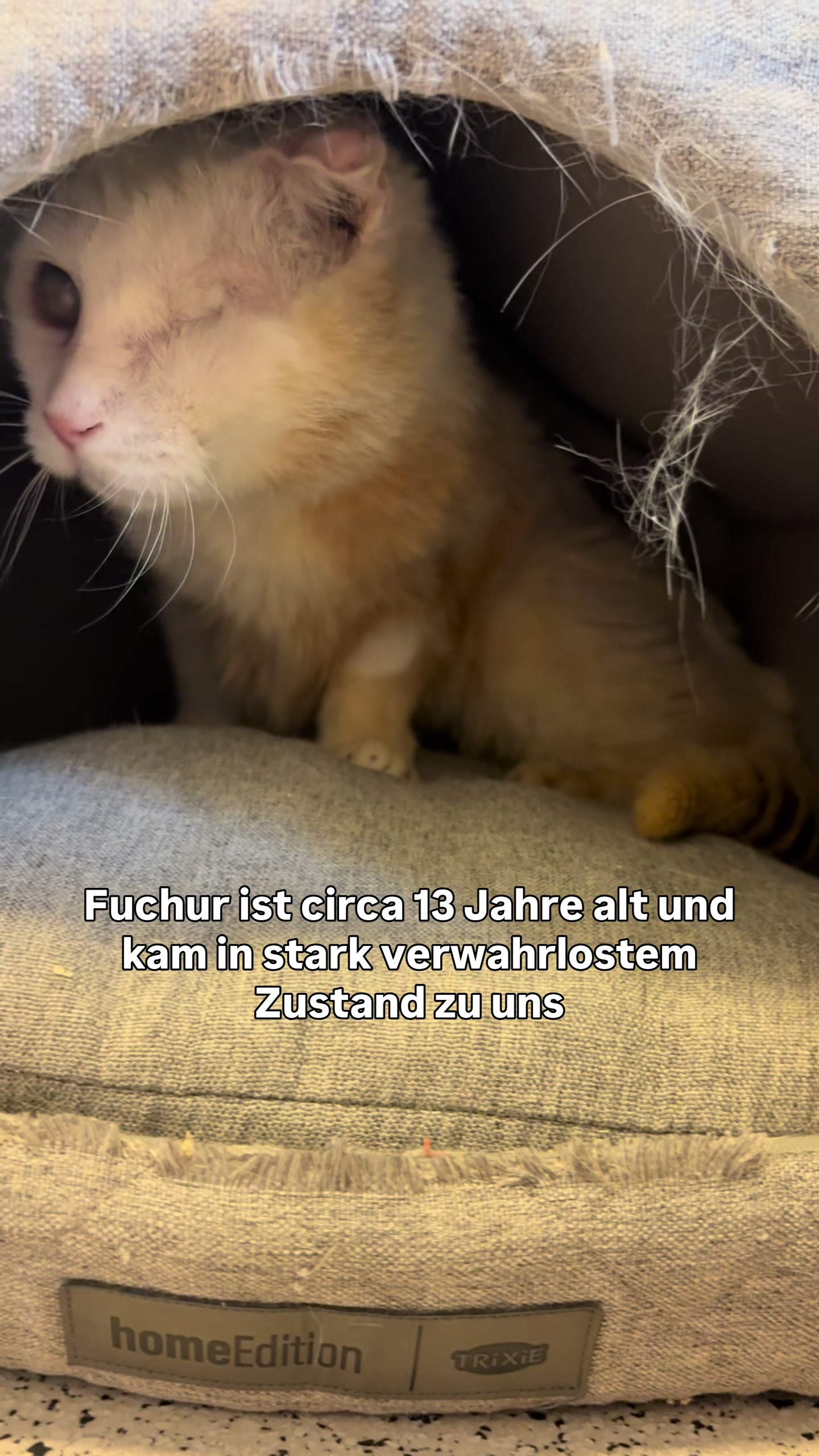 @TierschutzvereinM
