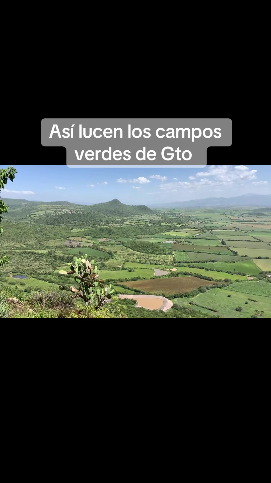 @antonysaavedra55