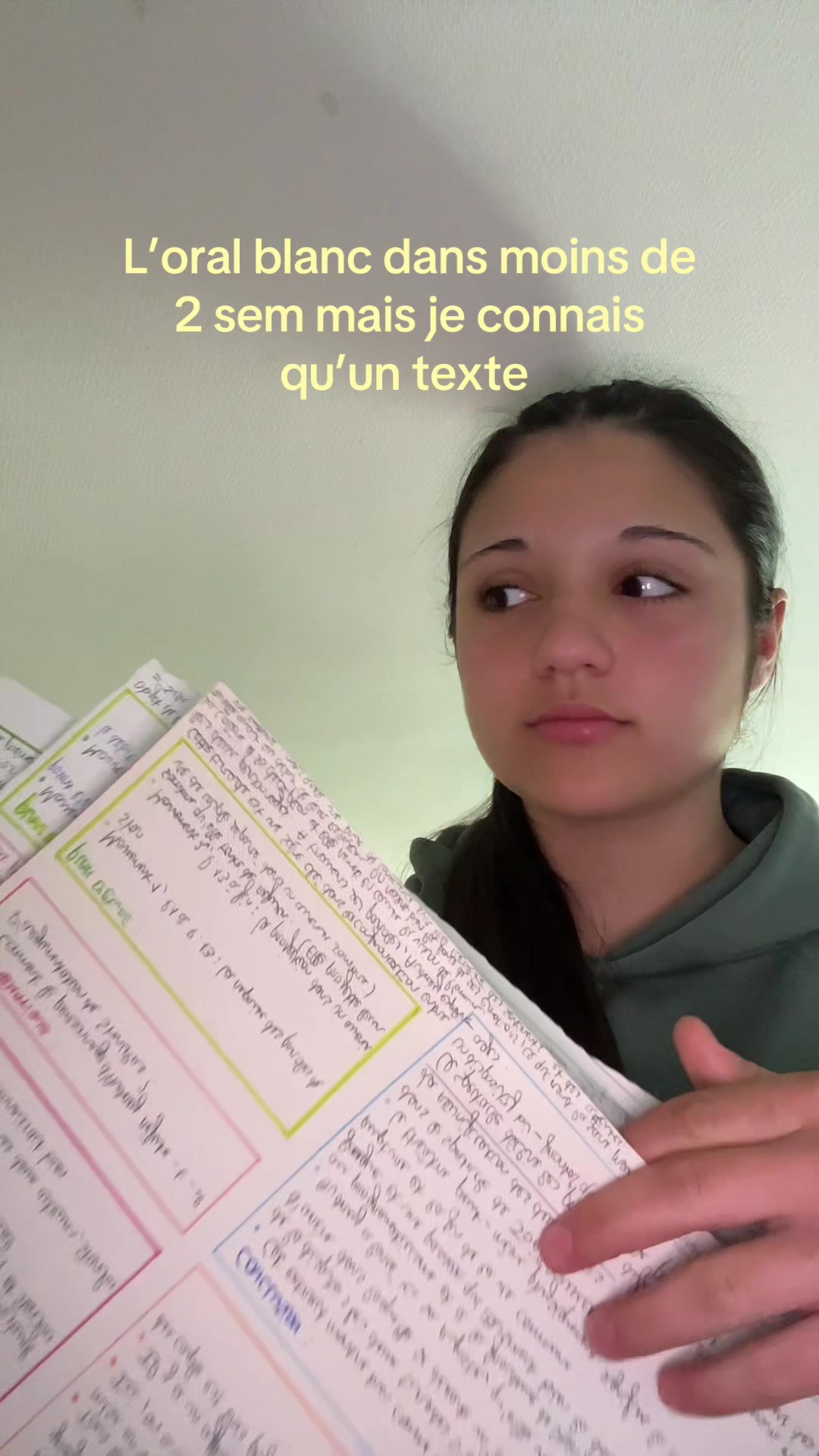 @ᥫ᭡