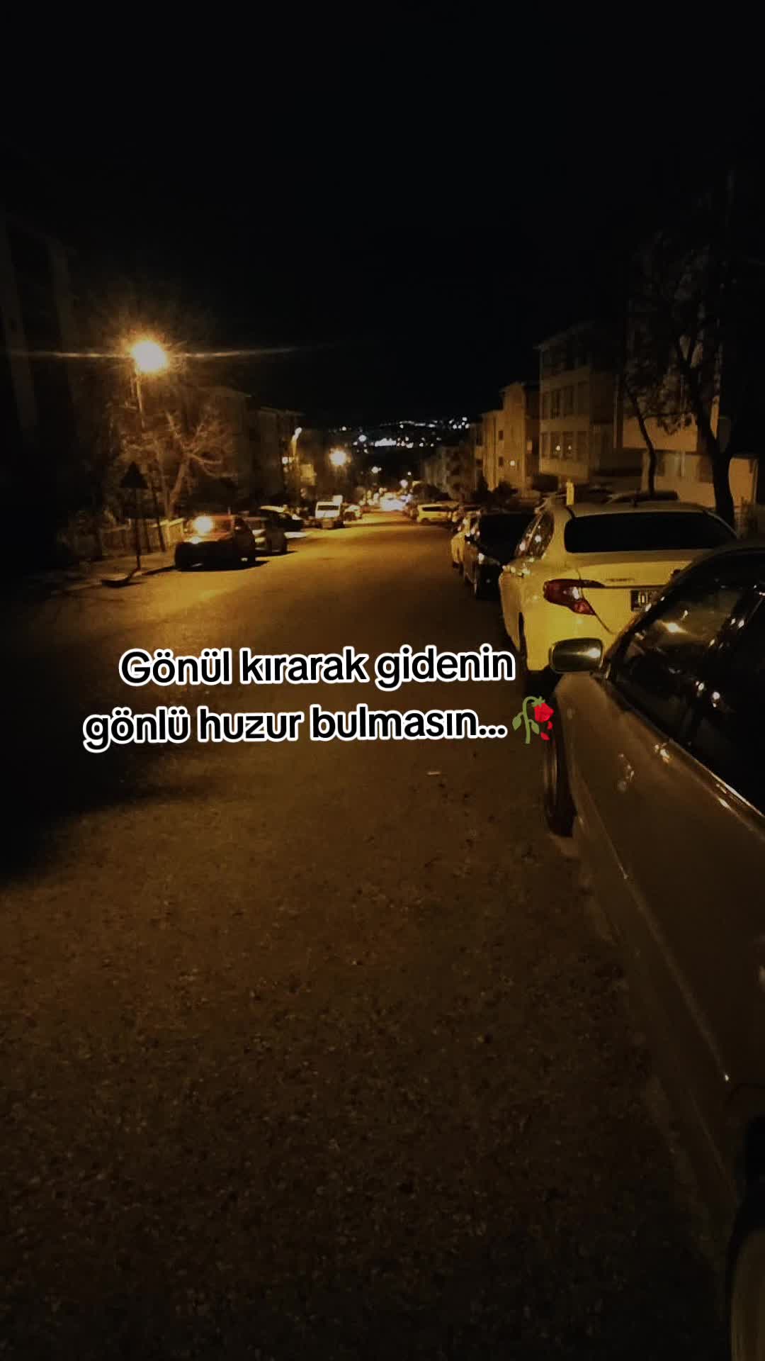 @harungul3806