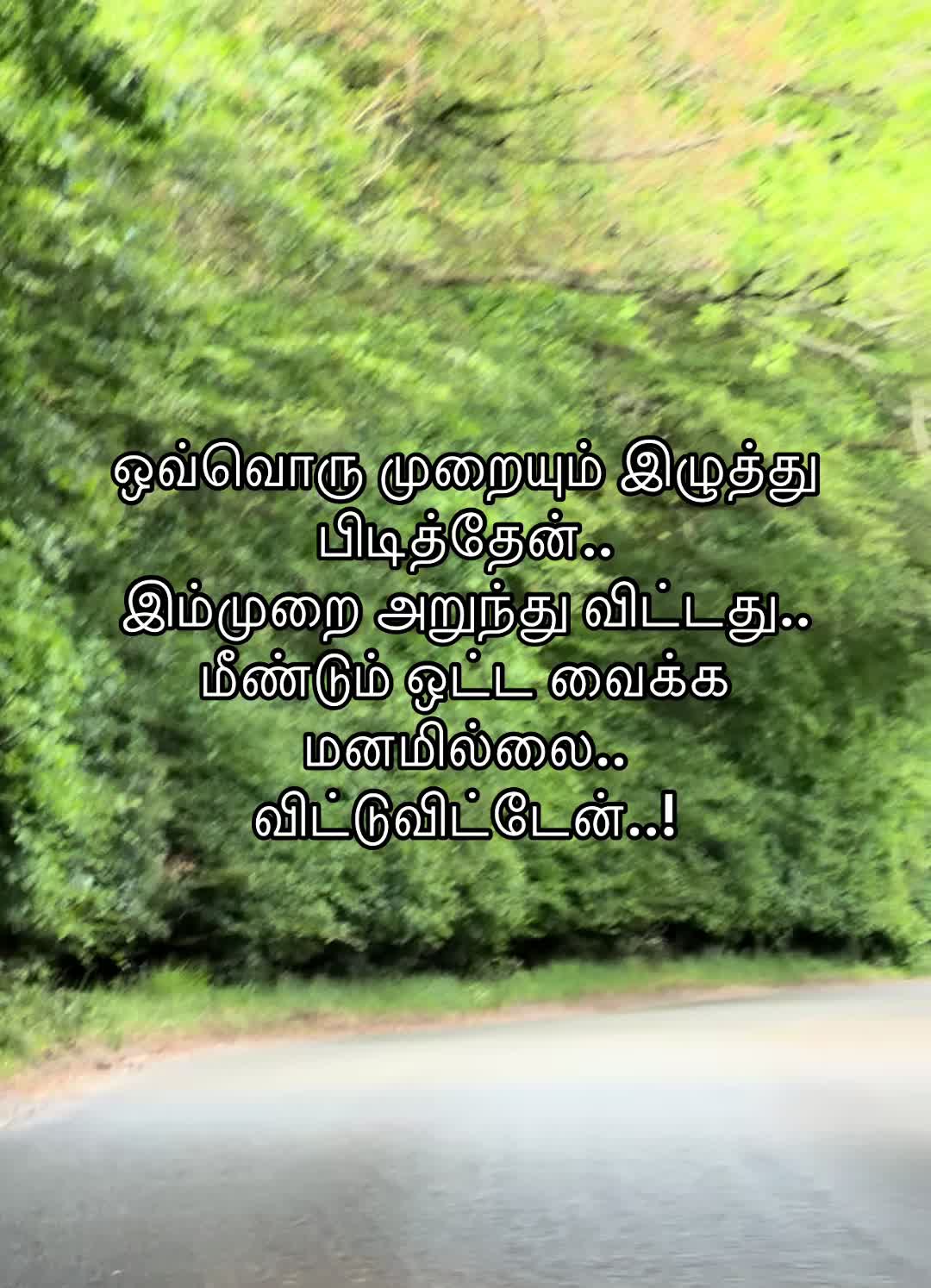 @kirus -6