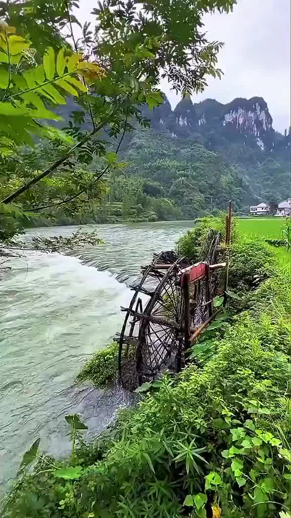 @Beauty of nature❤️
