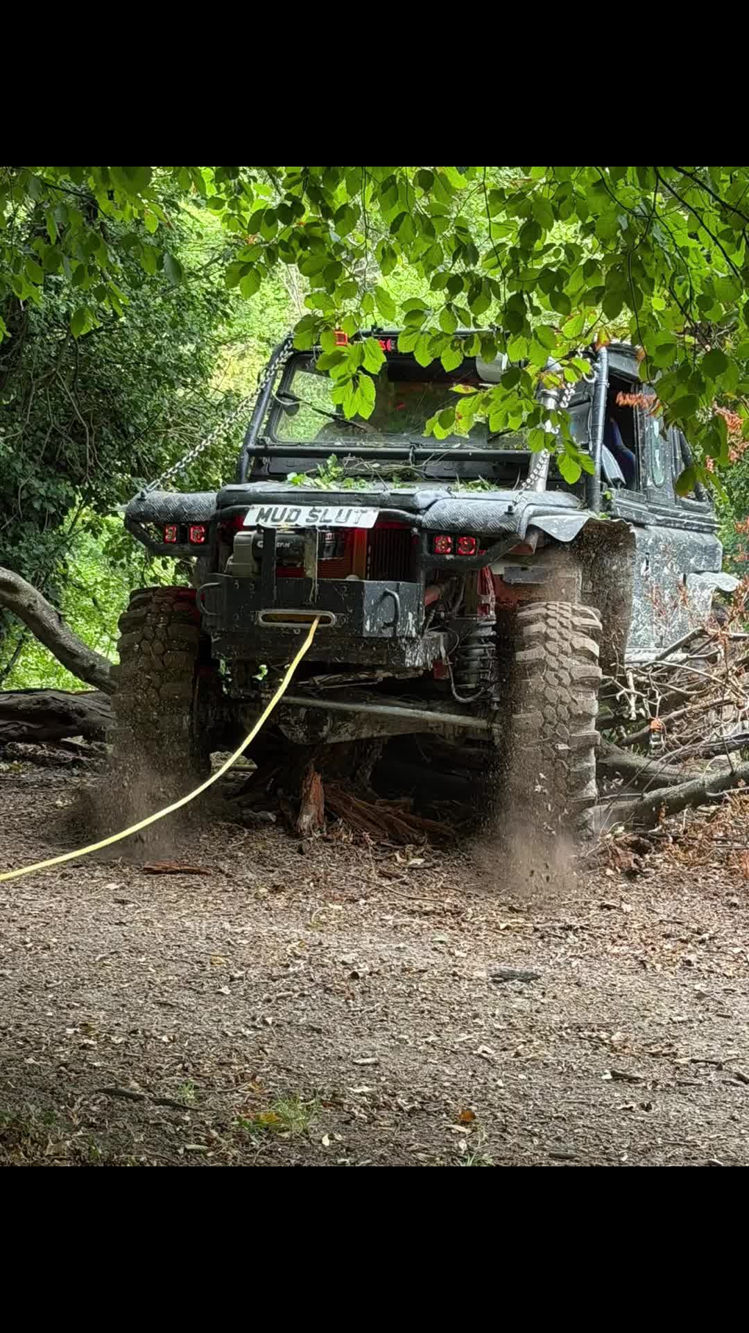 @Wet & Wild 4x4