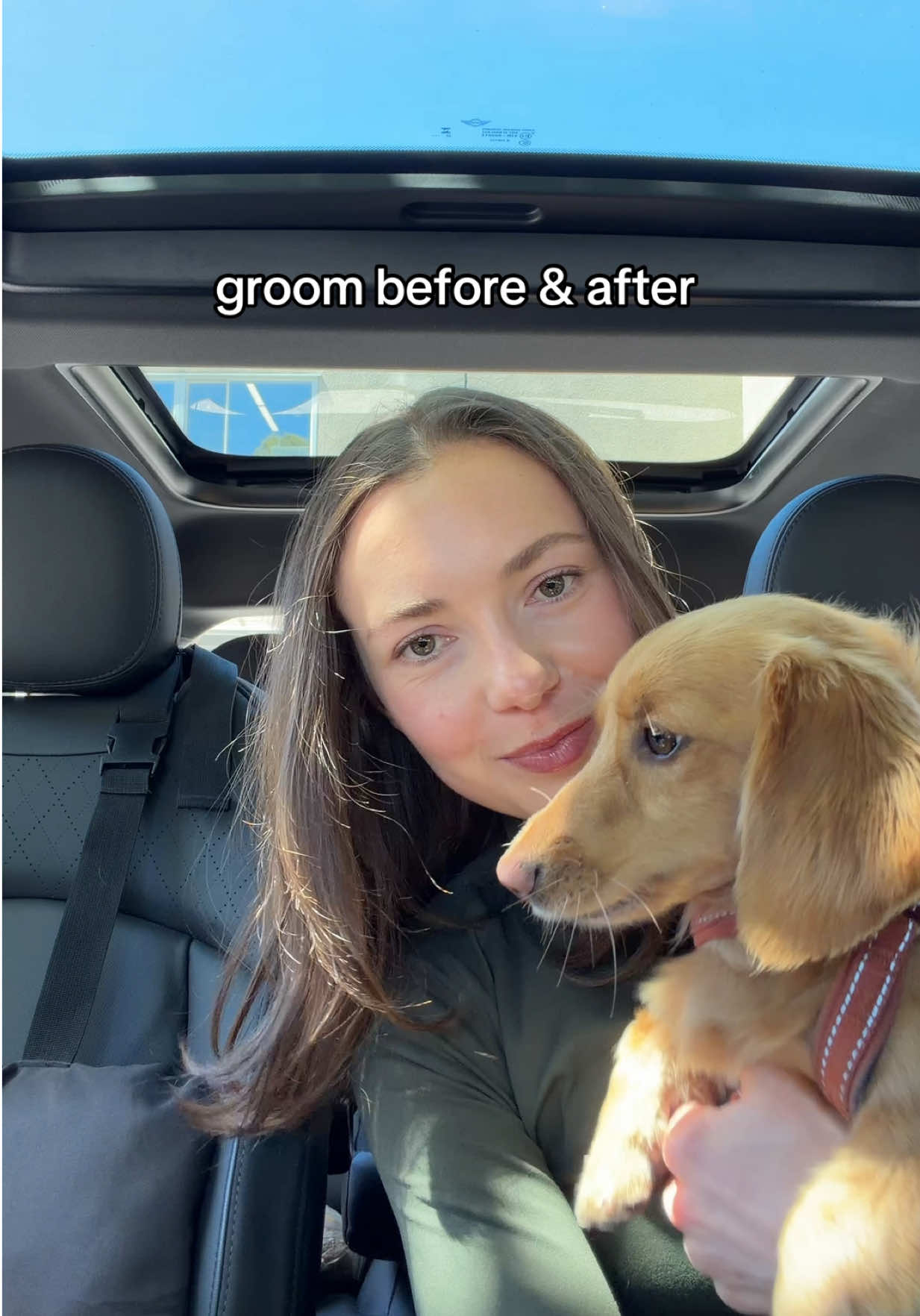 @cashewdachshund