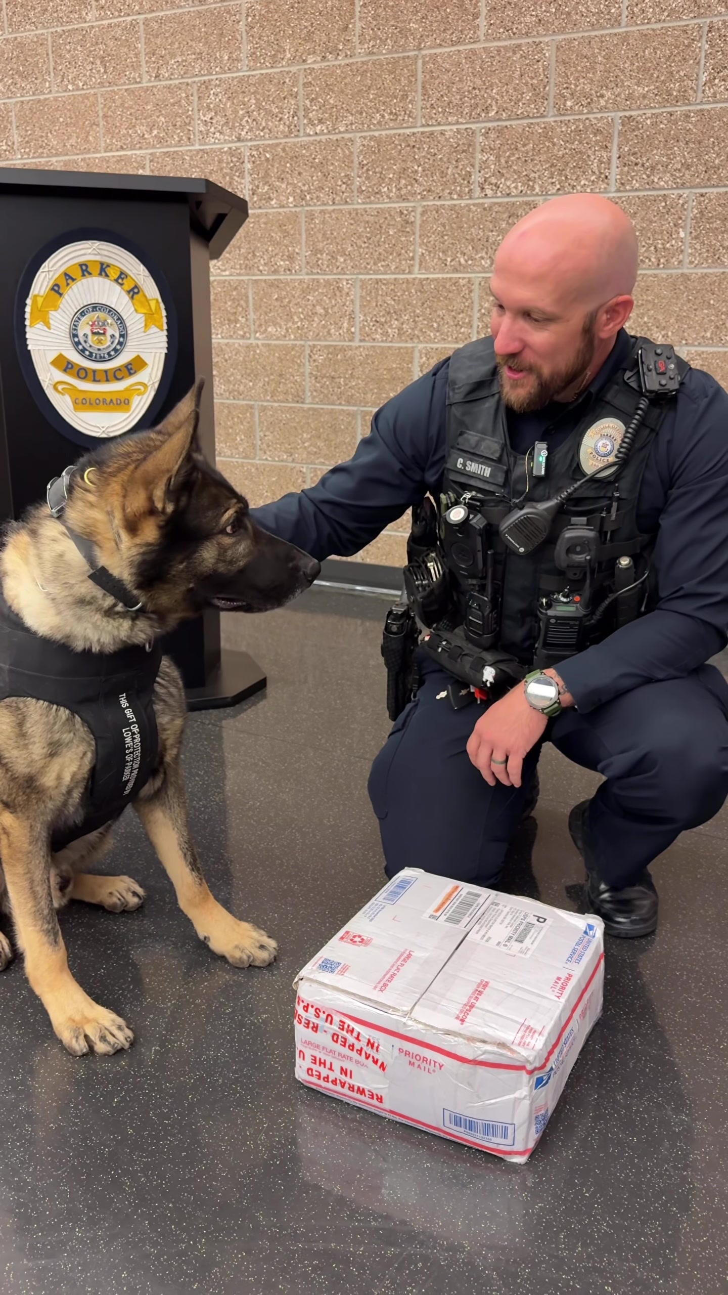 @Vested Interest in K9s, Inc.
