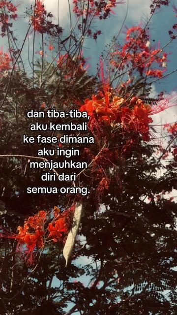 @fikarr
