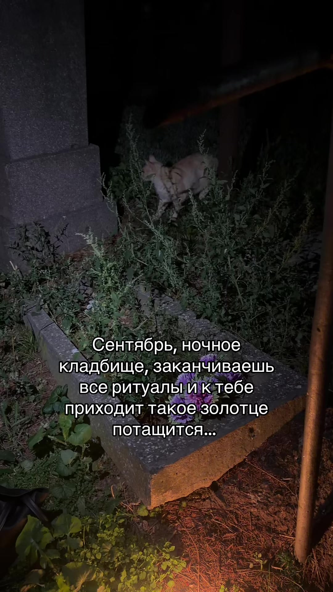 @Enmiror | Ритуалы | Расклады
