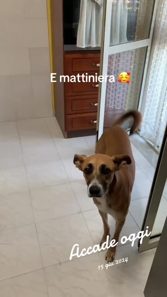 @Cristina Grazioli