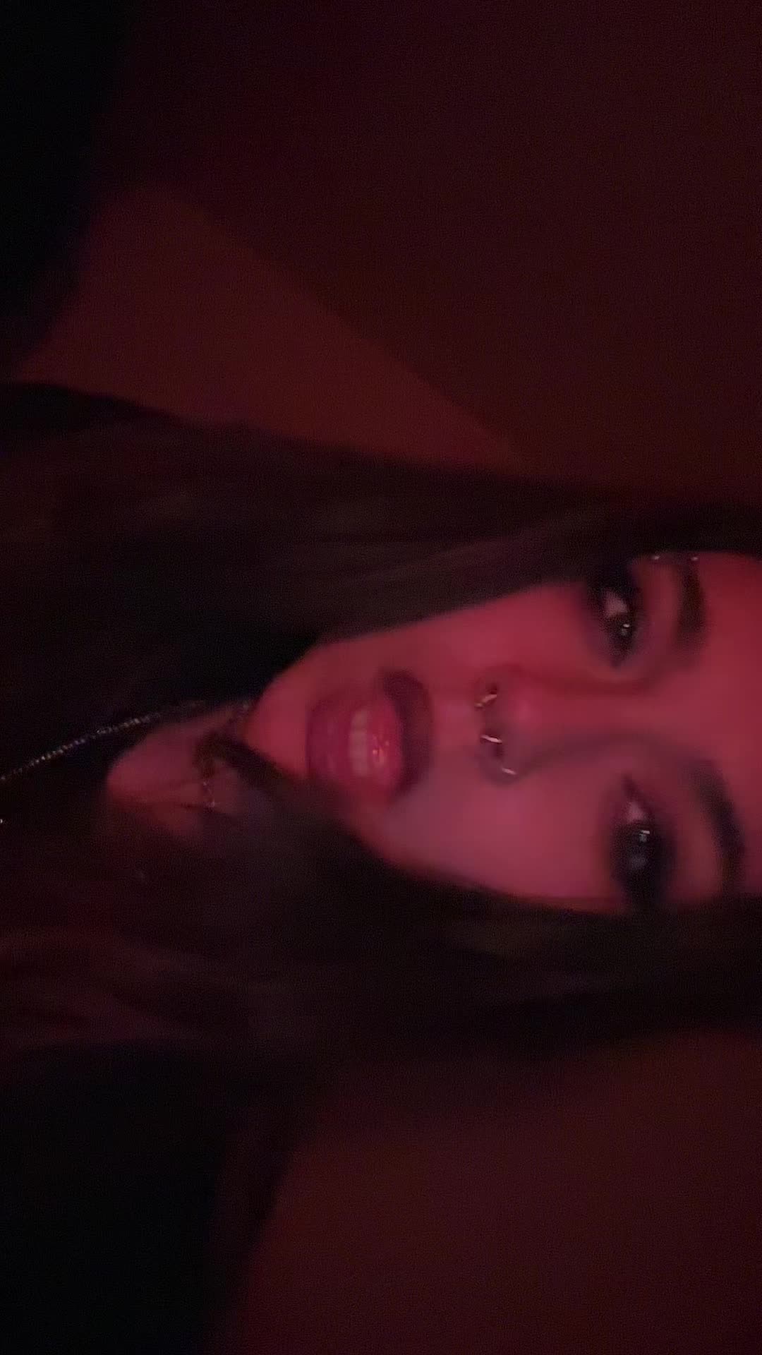 @bunny