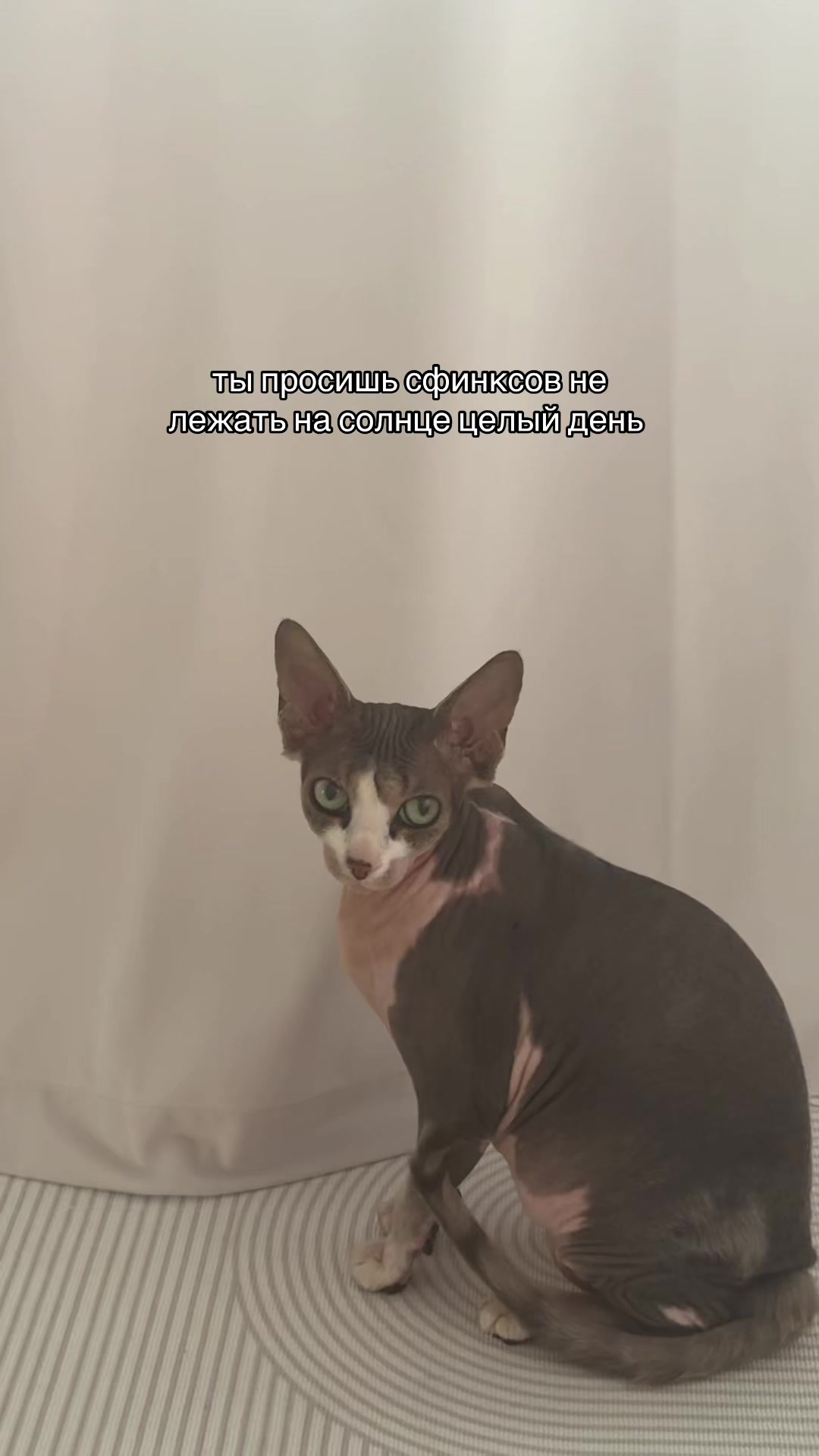 @КИРАБЛИН