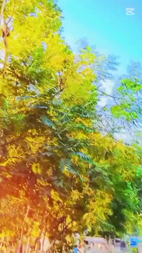 @ملنگ جان .302🇵🇰