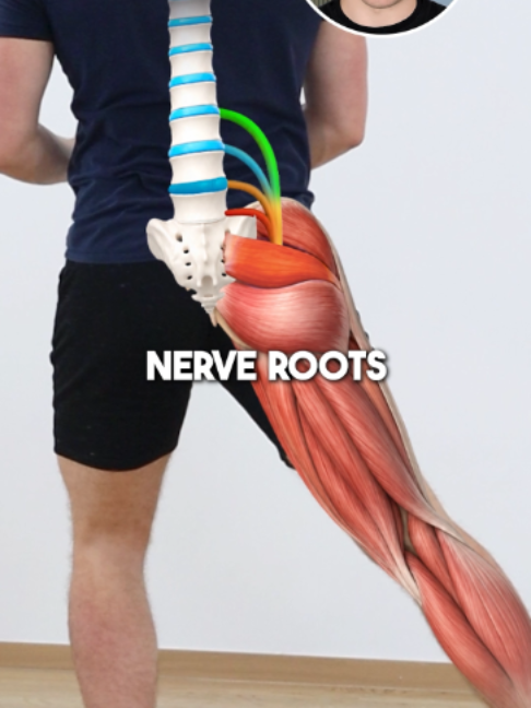 @Recover Pain