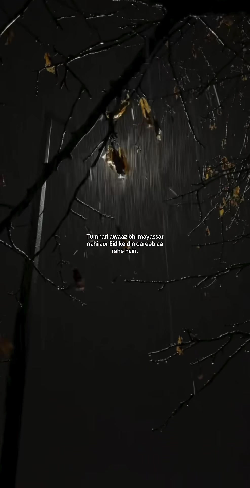 @🍂