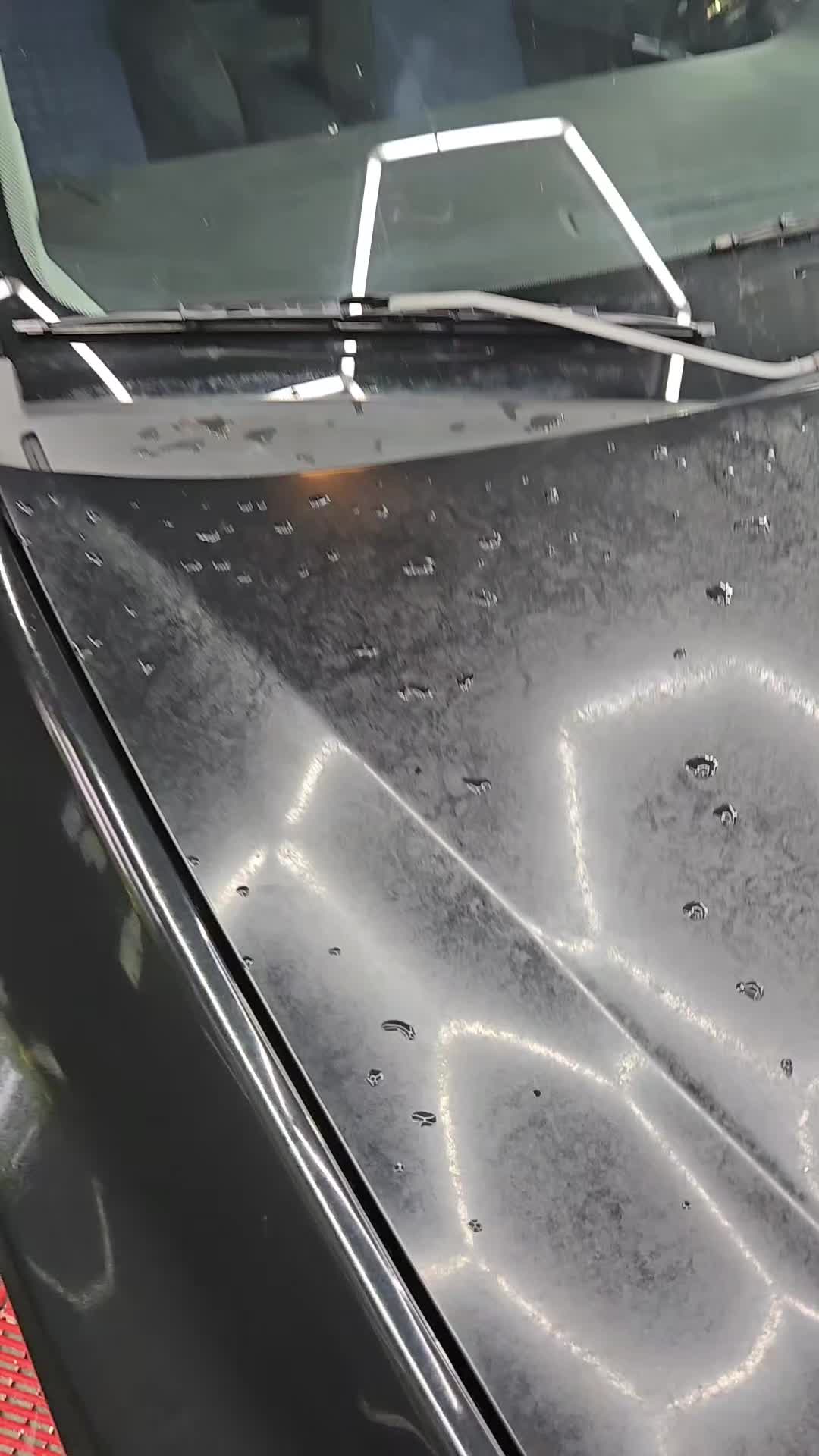 @LuisAutoDetailing 🦍💥🦍
