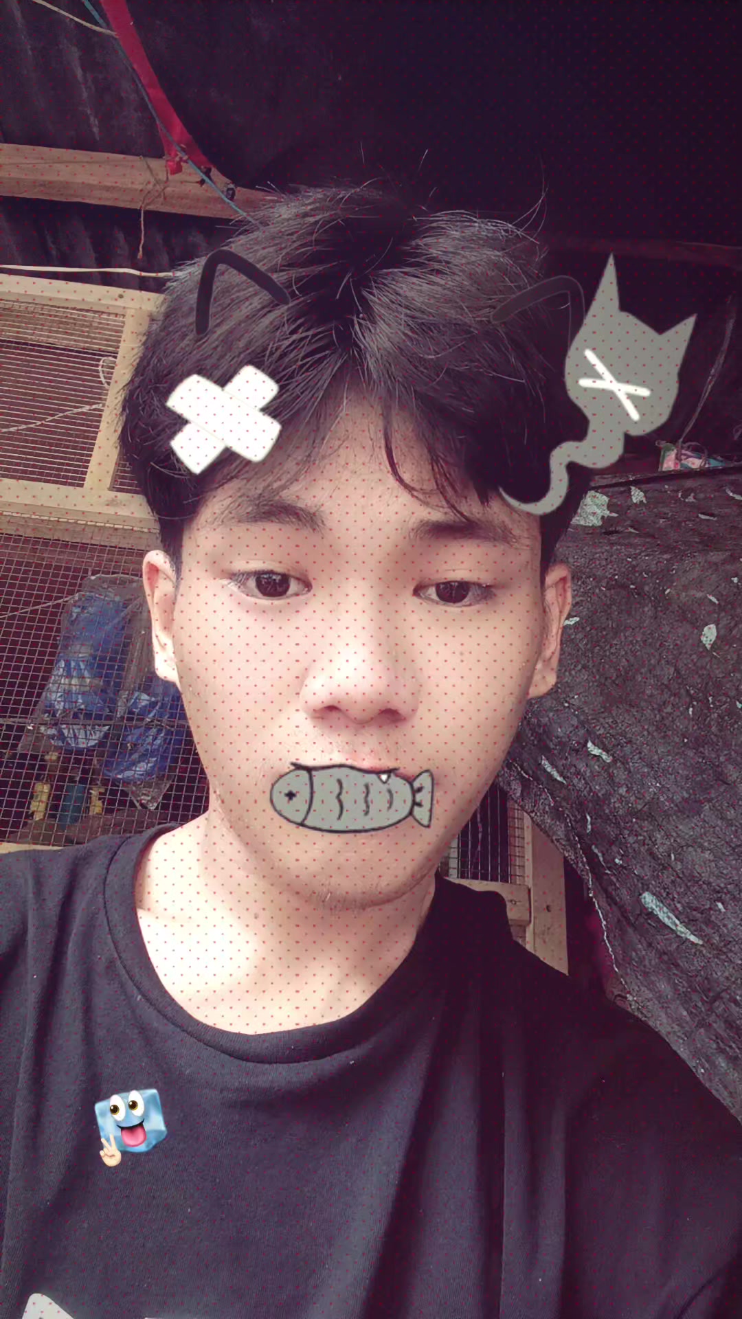 @Ar Ar