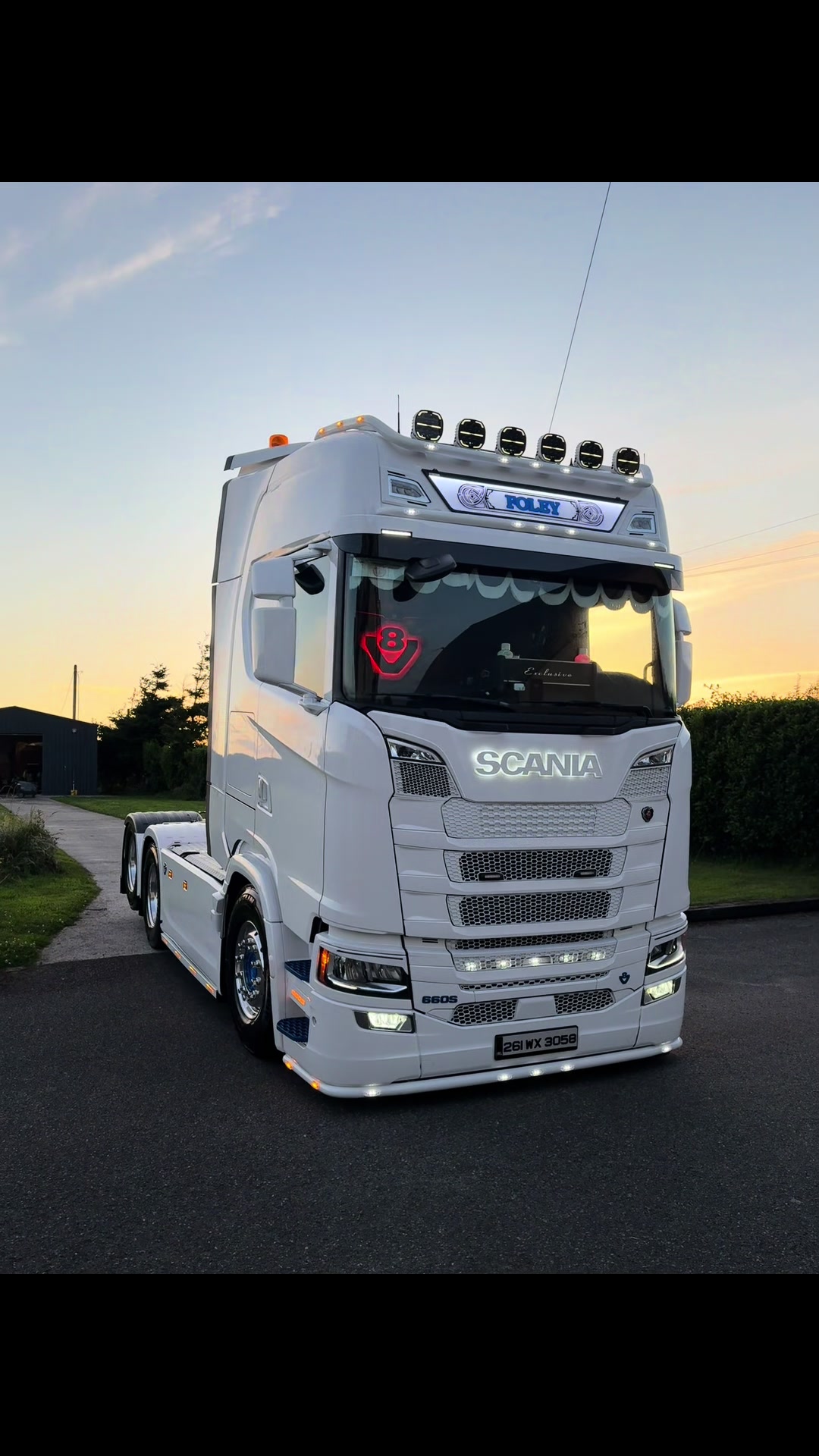 @maxfoleys650