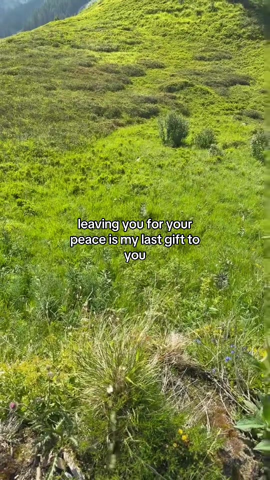 @Rauszeit ⛰️