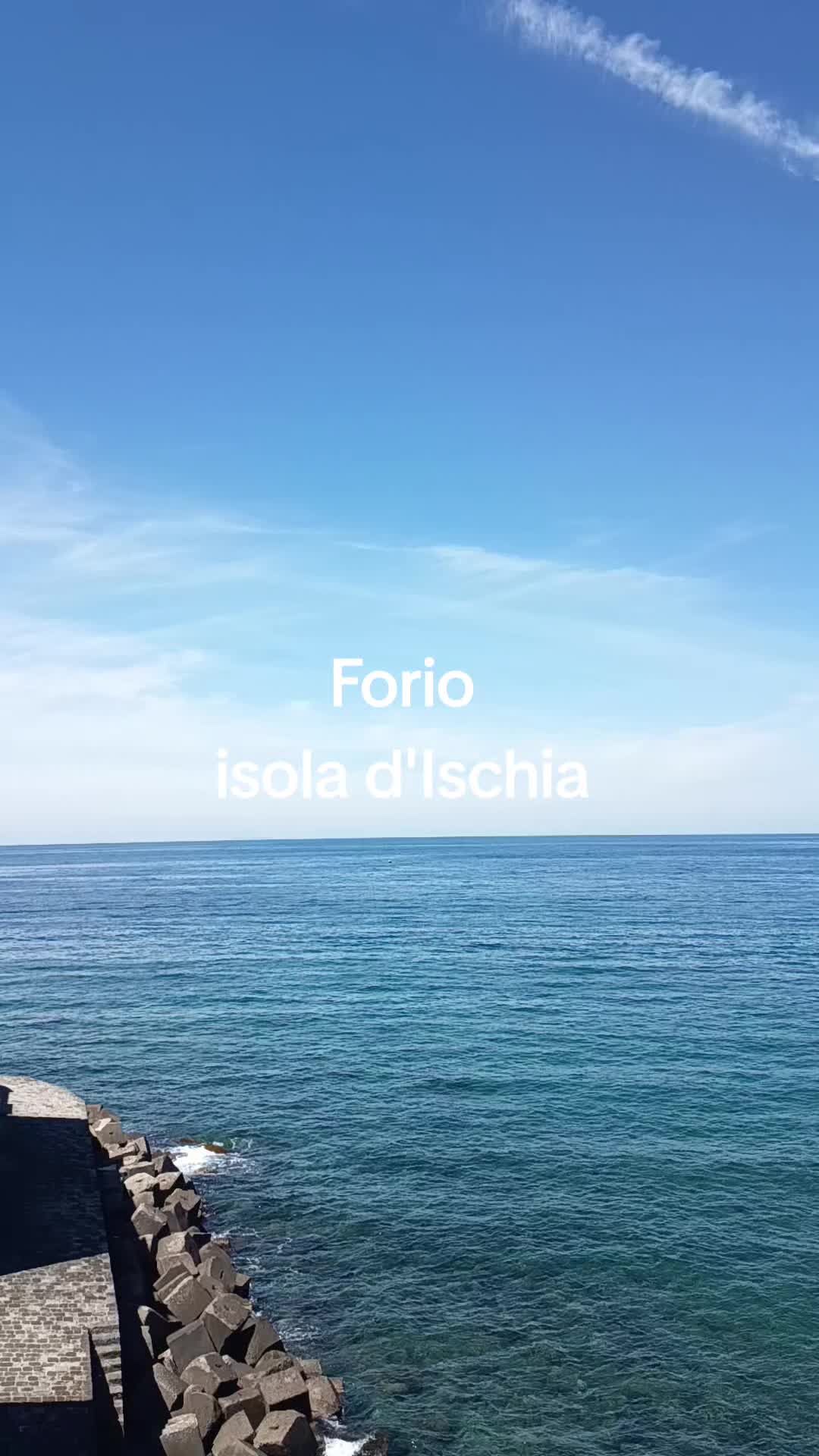 @Amdm66