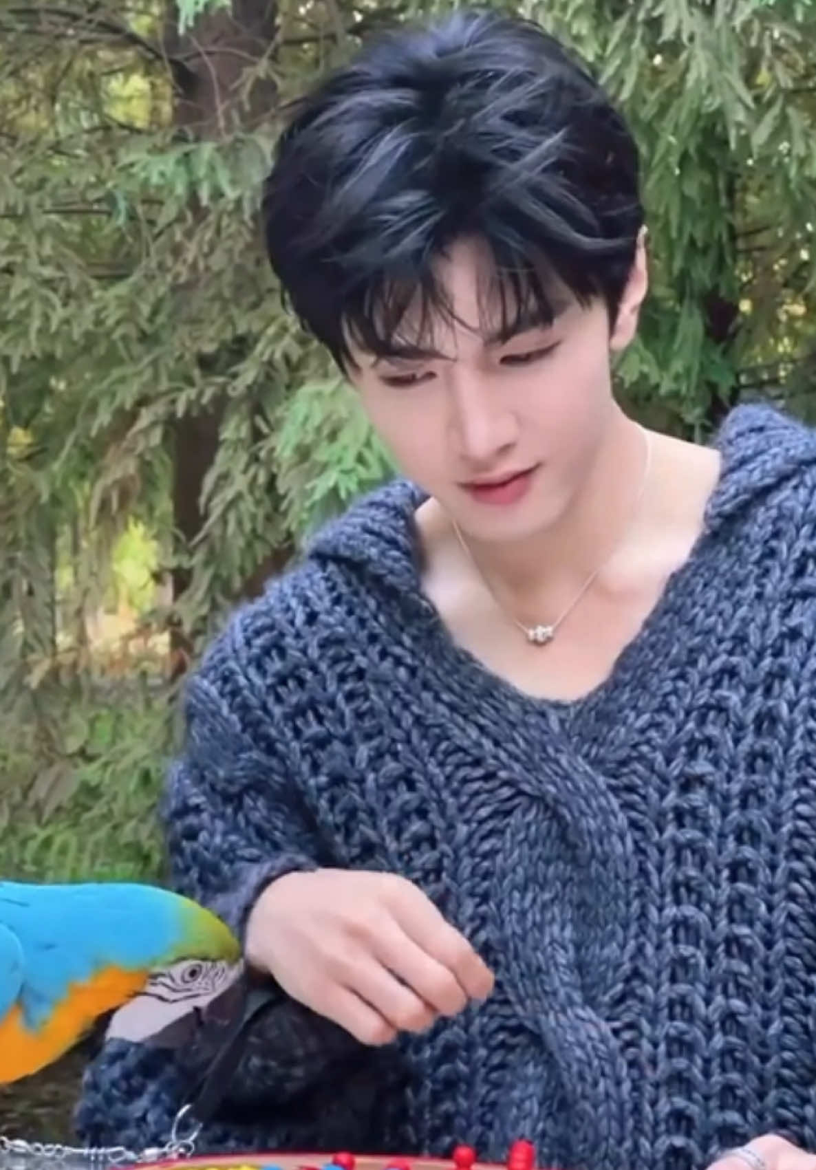 @Yuan_is_my-Man