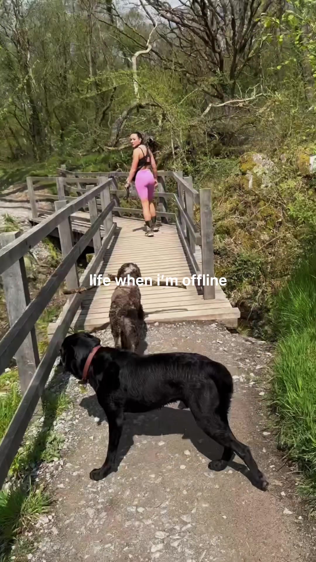 @A girl and her dogs