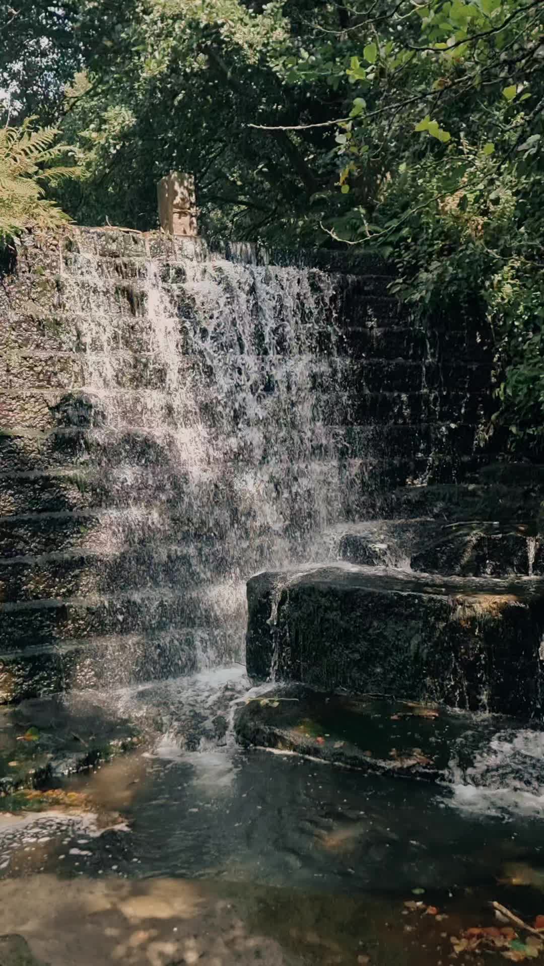 @ukmallu